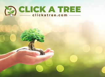 Click A Tree 500x368